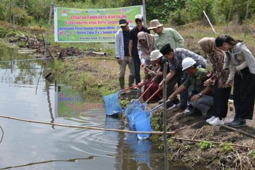 Masyarakat Sakai Laksanakan Panen Ikan Baung Program Kerjasama Perikanan PT Arara Abadi dan BRIN